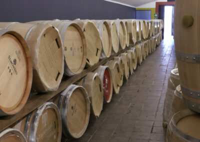 Private wine tasting Stellenbosch