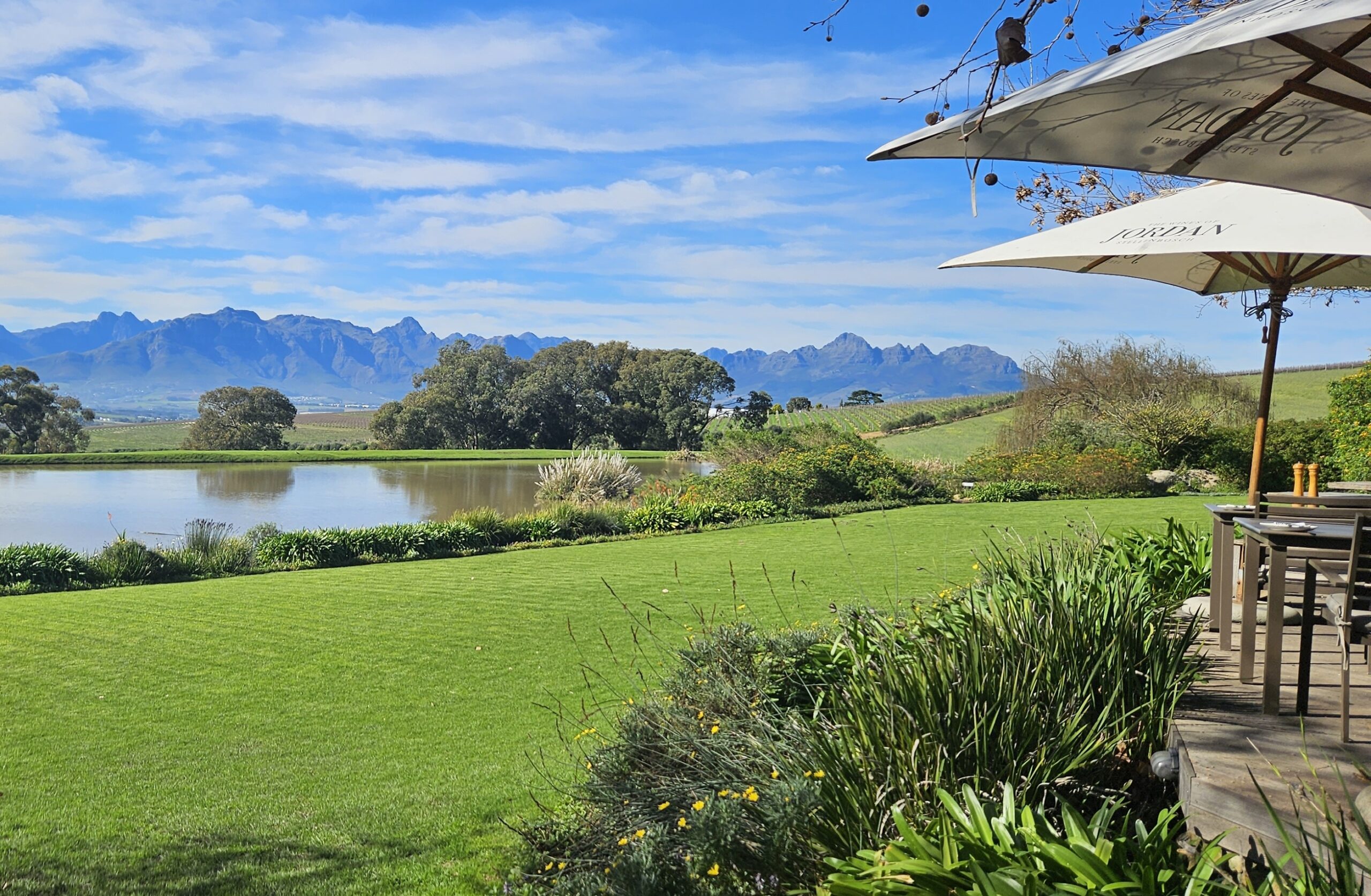 Jordan wines , wine tours of Stellenbosch