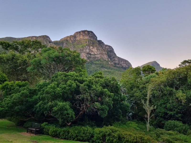 Constantia wine and art route